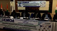 La coopération transfrontalière, "levier de paix et de développement" en Afrique